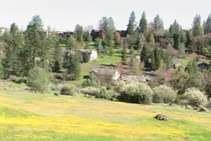 1362 Sandalwood Dr, Murphys, CA 95247 - Photo 49