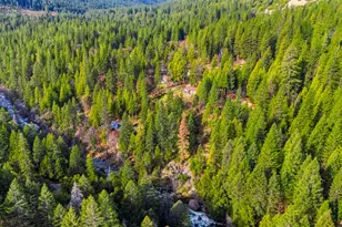 38 Valhalla Ln, Sierra City, CA 96125 - Photo 23