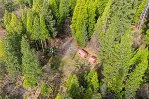 38 Valhalla Ln, Sierra City, CA 96125 - Photo 25