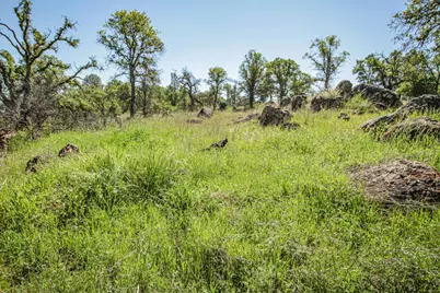 746 Arbolada Drive, Coulterville, CA 95311 - Photo 15