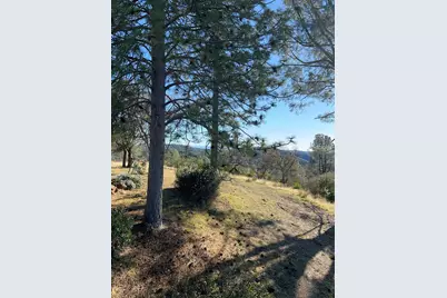 5611 Donkey Lane, Coulterville, CA 95311 - Photo 31