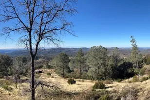 5611 Donkey Ln, Coulterville, CA 95311 - Photo 9