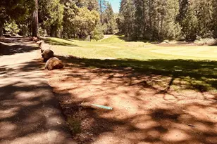 633 Forest Meadows Dr, Murphys, CA 95247 - Photo 1