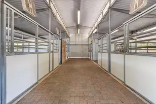 24521 N Mcintire Rd, Clements, CA 95227 - Photo 31