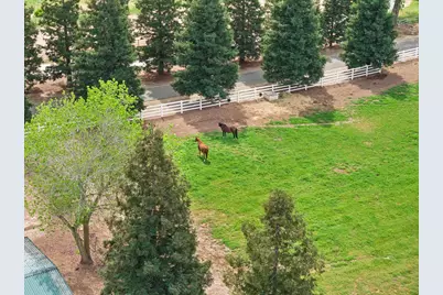 24521 N McIntire Road, Clements, CA 95227 - Photo 47