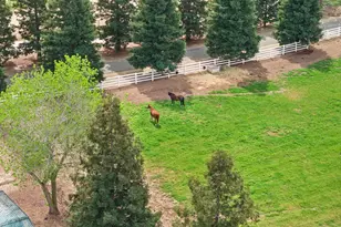 24521 N Mcintire Rd, Clements, CA 95227 - Photo 47