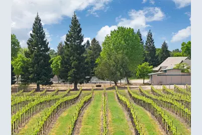 24521 N McIntire Road, Clements, CA 95227 - Photo 57