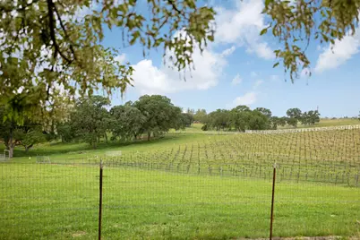 24521 N McIntire Road, Clements, CA 95227 - Photo 51