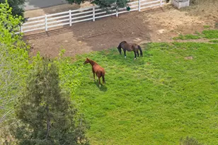 24521 N Mcintire Rd, Clements, CA 95227 - Photo 3