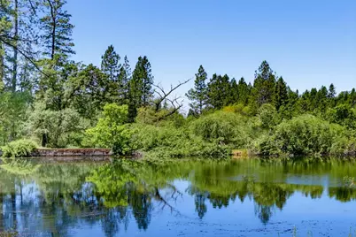 11456 Mirror Lake Court, Grass Valley, CA 95945 - Photo 59