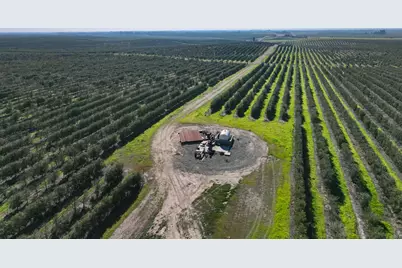 32358 County Road 19, Woodland, CA 95695 - Photo 5