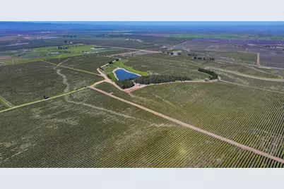 32358 County Road 19, Woodland, CA 95695 - Photo 9