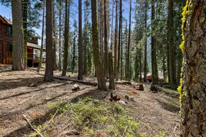 880 Sunny, Homewood, CA 96141 - Photo 3