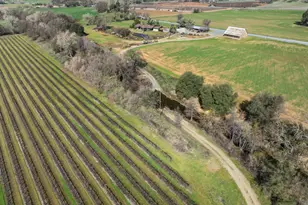 3270 Jackson Valley Rd, Ione, CA 95640 - Photo 25