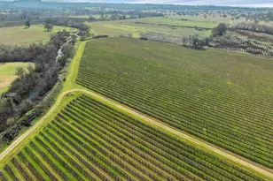 3270 Jackson Valley Rd, Ione, CA 95640 - Photo 27