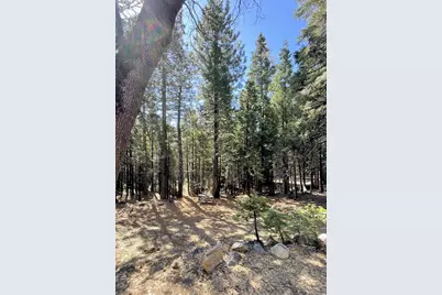 142 Beatrice Drive, Arnold, CA 95223 - Photo 43