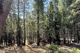 142 Beatrice Dr, Arnold, CA 95223 - Photo 43