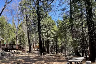 142 Beatrice Dr, Arnold, CA 95223 - Photo 45