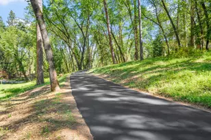 16429 Glenbrae Ln, Meadow Vista, CA 95722 - Photo 75