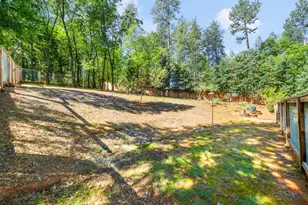 16429 Glenbrae Ln, Meadow Vista, CA 95722 - Photo 63