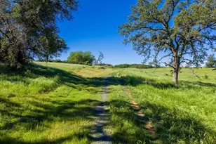 23070 Payam Pl, Grass Valley, CA 95949 - Photo 13