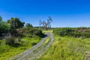 23070 Payam Pl, Grass Valley, CA 95949 - Photo 17