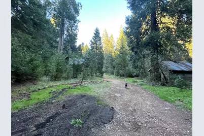 18035 Mobley Springs Road, Nevada City, CA 95959 - Photo 23