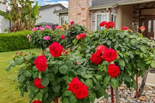 929 Kapareil Dr, Tracy, CA 95376 - Photo 5