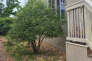 Duchess Way, Sacramento, CA 95827 - Photo 23