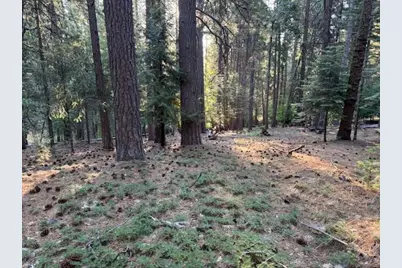 6235 Terrace Drive, Pollock Pines, CA 95726 - Photo 9