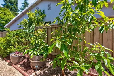 671 Violet Lane, Lincoln, CA 95648 - Photo 55