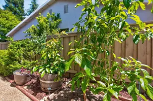 671 Violet Ln, Lincoln, CA 95648 - Photo 55