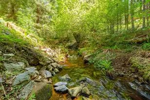 3148 Amber Trail, Pollock Pines, CA 95726 - Photo 7