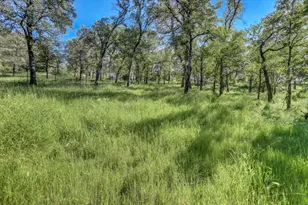 10360 Melody Rd, Smartsville, CA 95977 - Photo 65