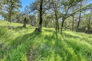 10360 Melody Rd, Smartsville, CA 95977 - Photo 55