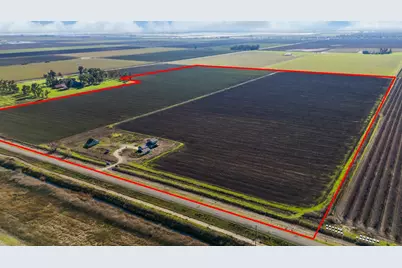 44643 County Road 29, Davis, CA 95618 - Photo 1