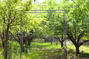 8767 E La Porte Rd, Brownsville, CA 95919 - Photo 21