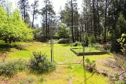 8767 E La Porte Road, Brownsville, CA 95919 - Photo 23