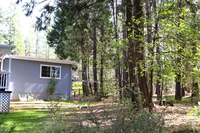 8767 E La Porte Road, Brownsville, CA 95919 - Photo 39