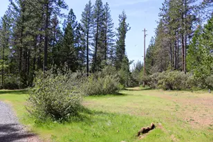 8767 E La Porte Rd, Brownsville, CA 95919 - Photo 69