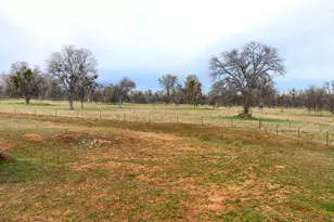 5857 Schilling, Coulterville, CA 95311 - Photo 39