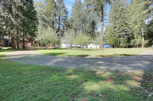 138 Big Fir Rd, Forbestown, CA 95941 - Photo 45