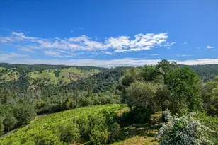 630 State Hwy 49, Placerville, CA 95667 - Photo 25