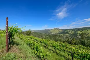 630 State Hwy 49, Placerville, CA 95667 - Photo 27