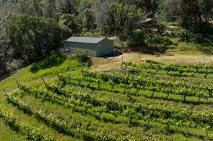630 State Hwy 49, Placerville, CA 95667 - Photo 43