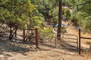 2004 Bruin Trl, Placerville, CA 95667 - Photo 57