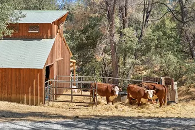 2004 Bruin Trail, Placerville, CA 95667 - Photo 59