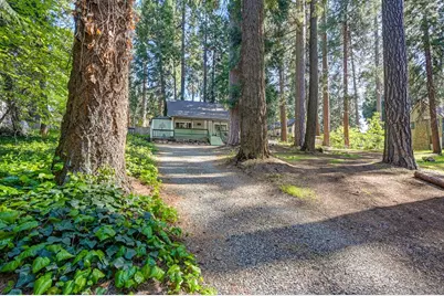 6252 Pony Express Trail, Pollock Pines, CA 95726 - Photo 41