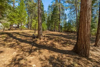 2219 Pardee Drive, Arnold, CA 95223 - Photo 33