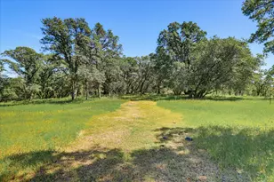 8877 Dutch Flat Trail, Smartsville, CA 95977 - Photo 37